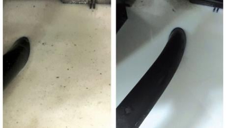 graushaar news Image