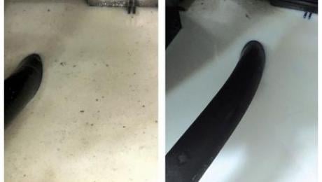 graushaar news Image