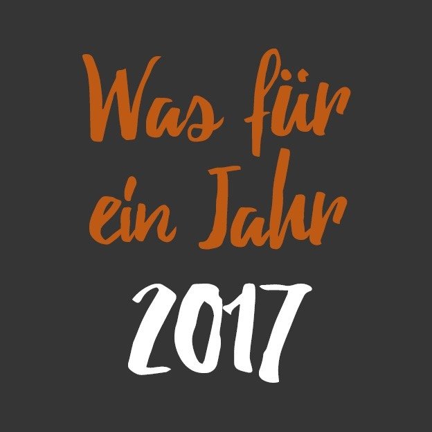 vectorcam Jahresrückblick 2017