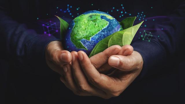 Deutsche Aktionstage Nachhaltigkeit starten in wenigen Tagen