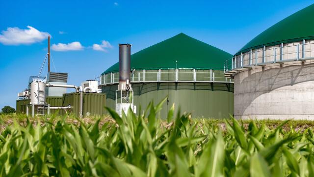 ErneuerbareEnergien: Kläranlagen nutzen Biogas aus ihren Faultürmen