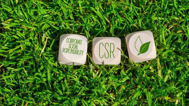 Nachhaltigkeitsreporting: Die CSRD wirkt bereits